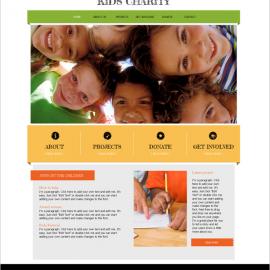 15个不错的慈善机构免费模板