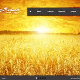 42个颜色艳丽的创意网站设计