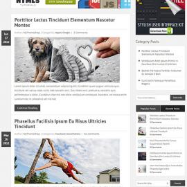 39个最佳响应式WordPress主题欣赏