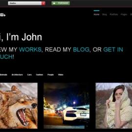 25个最新的WordPress相册主题