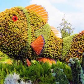 立体花坛