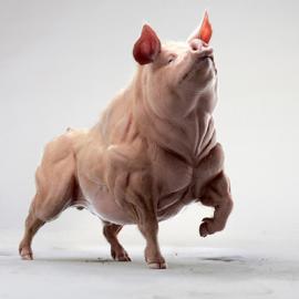 减肥创意广告 “Fat no more”