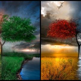 50个来自Vitaly S. Alexius的插画欣赏