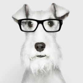 18种创意的照片处理效果