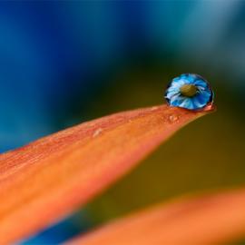 12张惊人的创意摄影照片欣赏