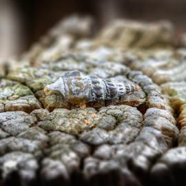 35个让你惊奇的HDR照片欣赏