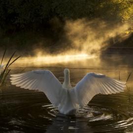 这些瞬间你肯定没有看过