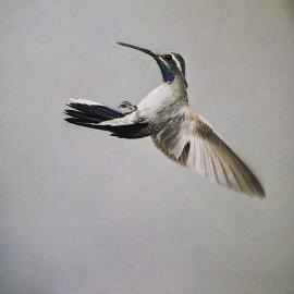 40张地球上自然的风景摄影