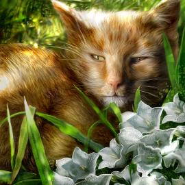 54个可爱的猫科动物艺术