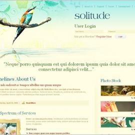 45个高品质的免费网页模板欣赏