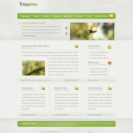 18个最新的干净的首页设计