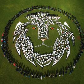 13张航拍公益艺术照片