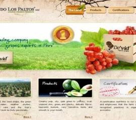 30个创意的美食及饮料网站设计