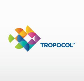 50个包含“鱼”的创意LOGO设计