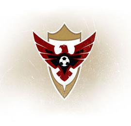 20个以老鹰为主题的创意Logo设计