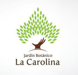 25个以植物为主题的创意Logo设计