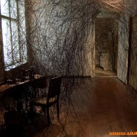 Chiharu Shiota：你走不出她的盘丝洞