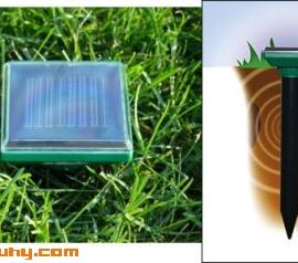 小巧的草坪守护者