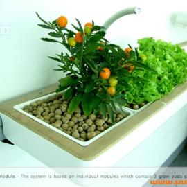 在家里开发一个农场