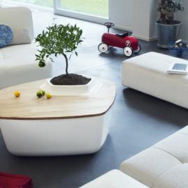 创意生态咖啡桌