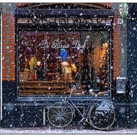 创意艺术照片合集#83