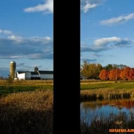 动物眼中的世界