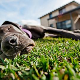 创意艺术照片合集#11