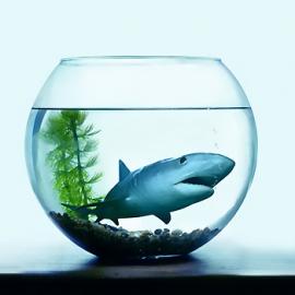 创意艺术照片合集#5