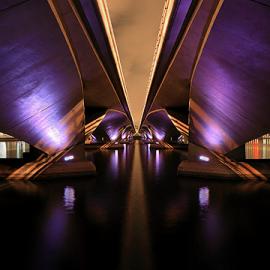 创意艺术照片合集#52