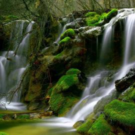 拯救世界的20个原因