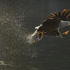 70张精选的摄影照片欣赏