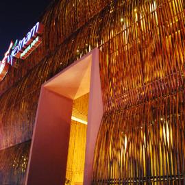 2010年上海世博会越南馆照片