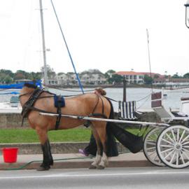24个不可思议的摄影照片