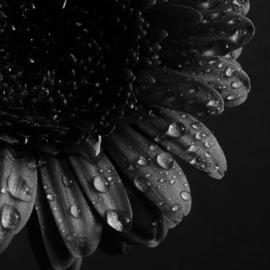 55张黑白摄影照片带你环游世界