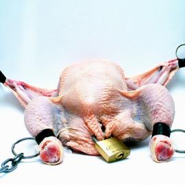 30张极其有趣的创意食品照片