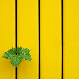 20张极简的优秀摄影照片