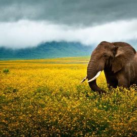 25张来自PhotoRadar摄影比赛的候选作品