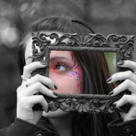 47张与众不同的颜色选择摄影照片