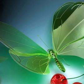 25张美丽迷人的蝴蝶摄影照片