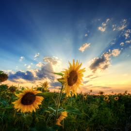 26张绝对迷人的风景摄影照片
