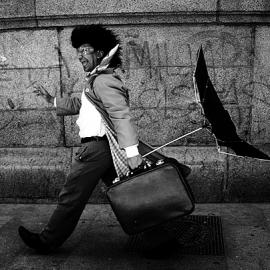 60张非常搞笑的创意摄影照片