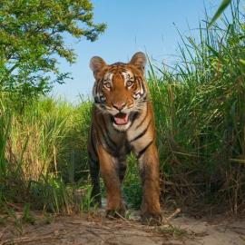 21张10月的NGC最佳摄影照片