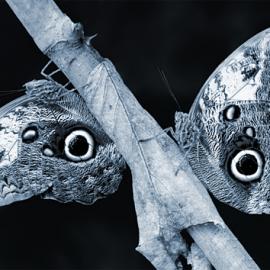 10张看起来很假的真实摄影照片