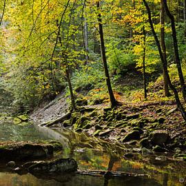 65张美丽的秋天美景摄影照片