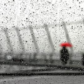 35张在雨中美丽的摄影照片