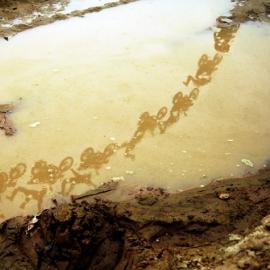 50张2010年最佳运动摄影照片