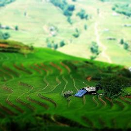 50张迷人的Tilt-Shift移轴摄影照片