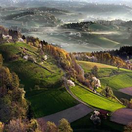 60张美丽的春天摄影照片