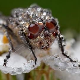 20张美丽的国家地理杂志摄影大赛作品