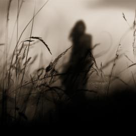 14张来自Oer-Wout的梦幻摄影照片